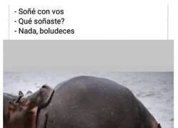 Enlace a No puedo decírtelo
