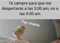 Enlace a Levanto antes