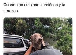 Enlace a El que no exterioriza sus sentimientos