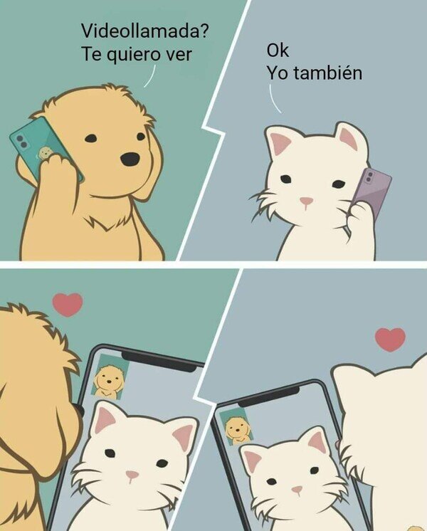 Meme_otros - Si los perros y los gatos pudieran videollamarse