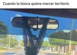 Enlace a Bonito accesorio