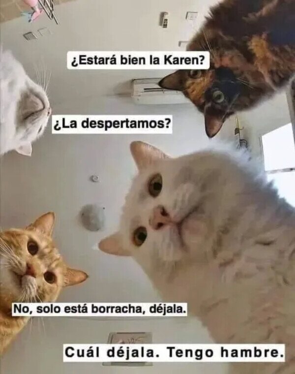 Meme_otros - Mientras tanto, en casa de Karen
