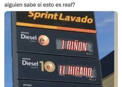 Enlace a Como la vida misma