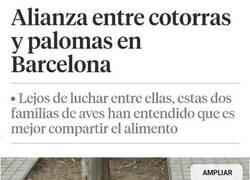 Enlace a Los Simpson, una vez más