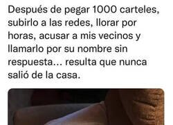 Enlace a Maldito Michi camuflado