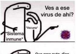 Enlace a Así funciona la vacuna en nuestro organismo