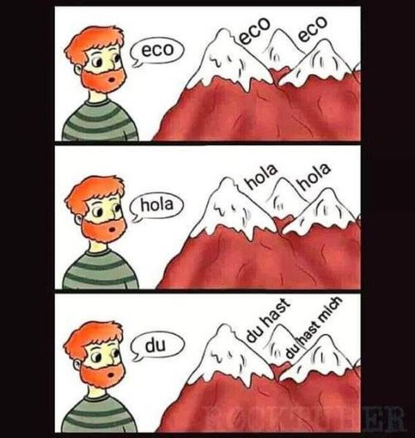 Meme_otros - Hasta el eco se la sabe