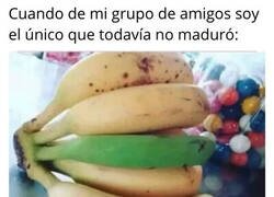 Enlace a Soy un plátano verde