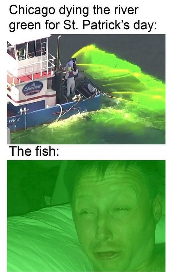 Meme_otros - ¿Qué culpa tienen los peces?