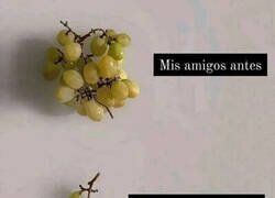 Enlace a El meme triste del día