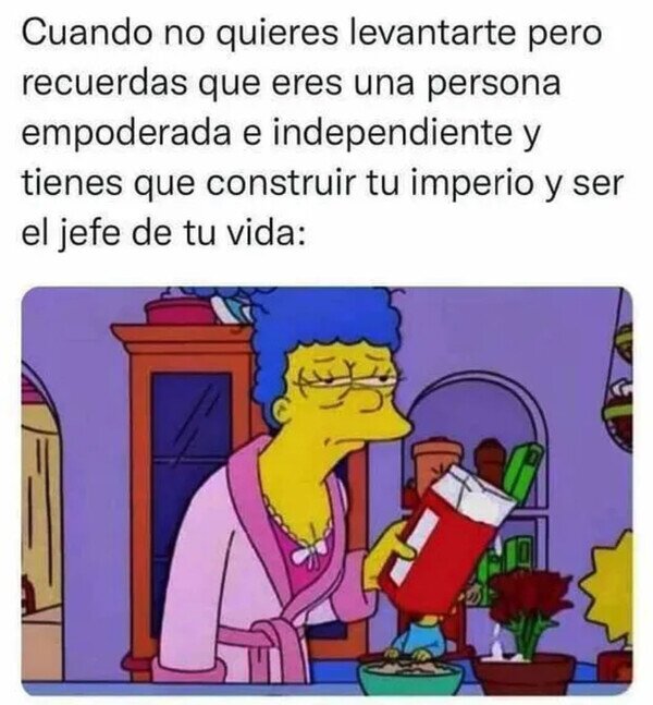 Meme_otros - Hay que ser responsable