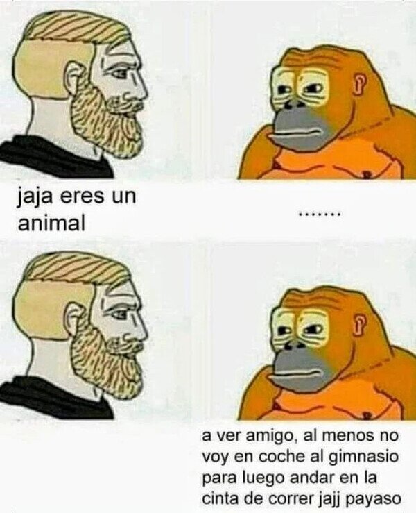Meme_otros - Al menos los animales no hacen eso