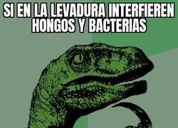 Enlace a Si lo llevan todo al límite...