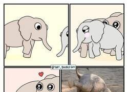 Enlace a Por ahí va la elefanta que te gusta, actúa normal