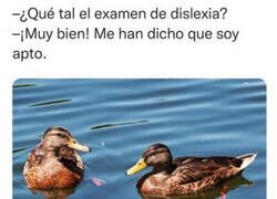 Enlace a ¿Estás seguro?