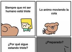 Enlace a Un meme triste