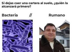Enlace a ¿Quién la alcanza primero?