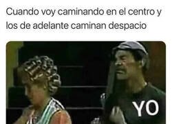 Enlace a Odio a los que van deambulando