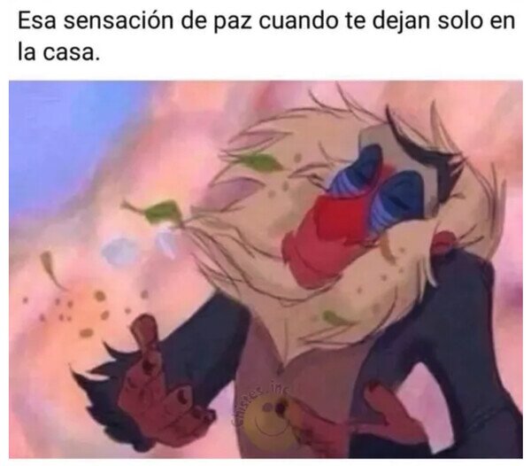 Meme_otros - Paz y tranquilidad