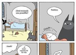 Enlace a Trauma gatuno