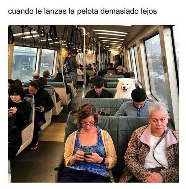 Otros - Tanto que cogió el bus