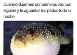 Enlace a Hinchado como pez globo