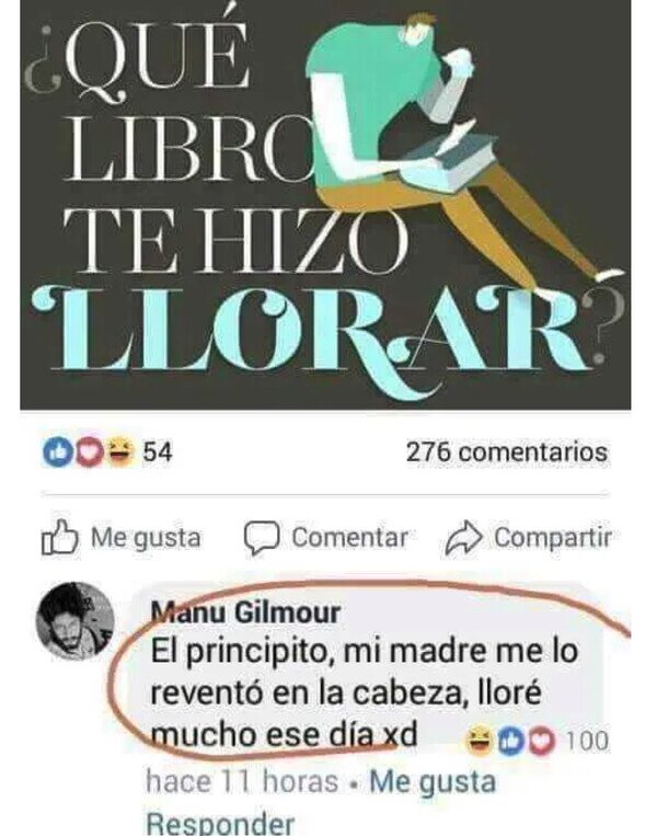 Meme_otros - Un libro que me hizo llorar