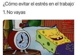 Enlace a No hay mejor forma de evitar el estrés
