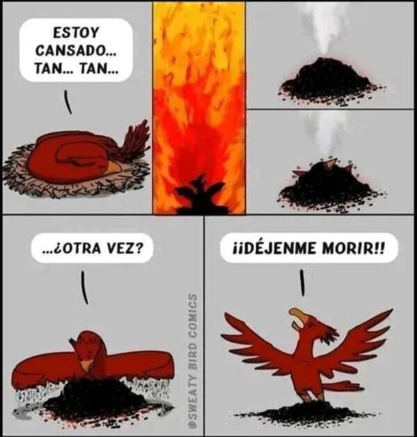 Meme_otros - Pobre Ave Fénix...