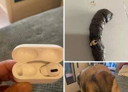 Enlace a ¡Sorpresa!