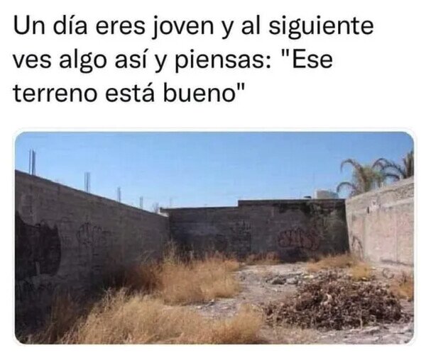 Meme_otros - Aquí se podría montar algo...