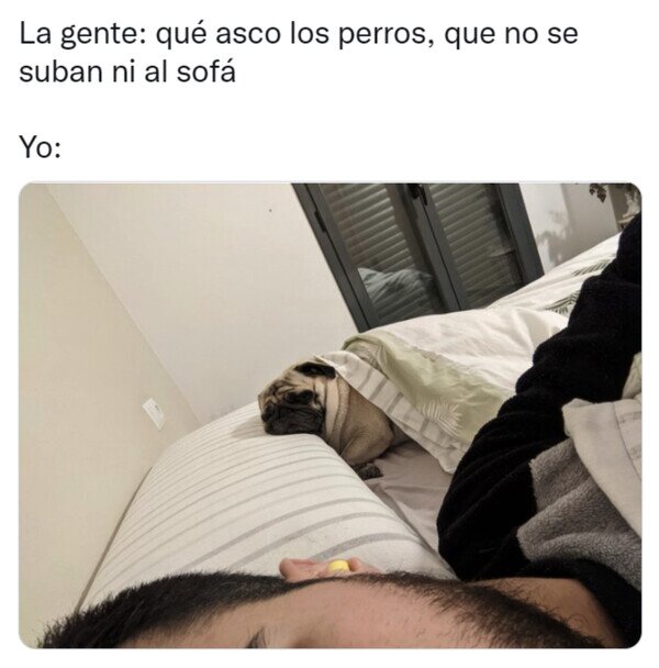 Otros - El mío bien arropadito