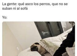 Enlace a El mío bien arropadito