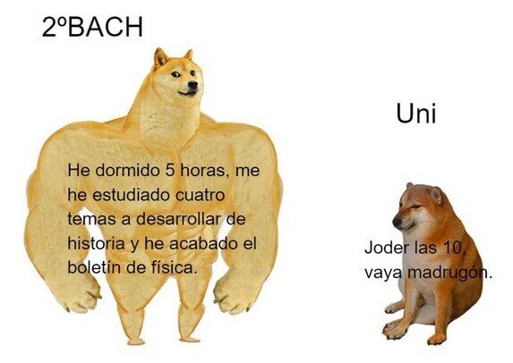 Meme_otros - Madrugar se vuelve relativo