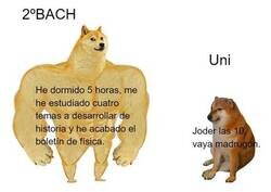 Enlace a Madrugar se vuelve relativo