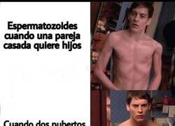 Enlace a Espermatozoides cabrones