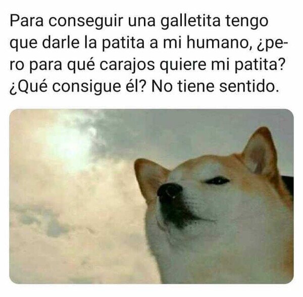 Meme_otros - Si los perros pensaran