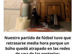 Enlace a Personas que son la definición de tener un mal día