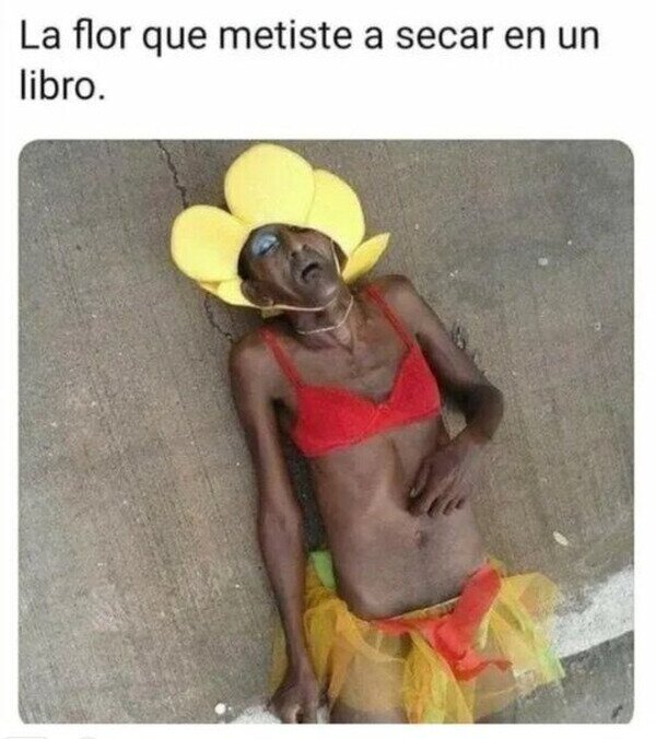 Meme_otros - Cómo debe estar la pobre...