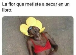Enlace a Cómo debe estar la pobre...