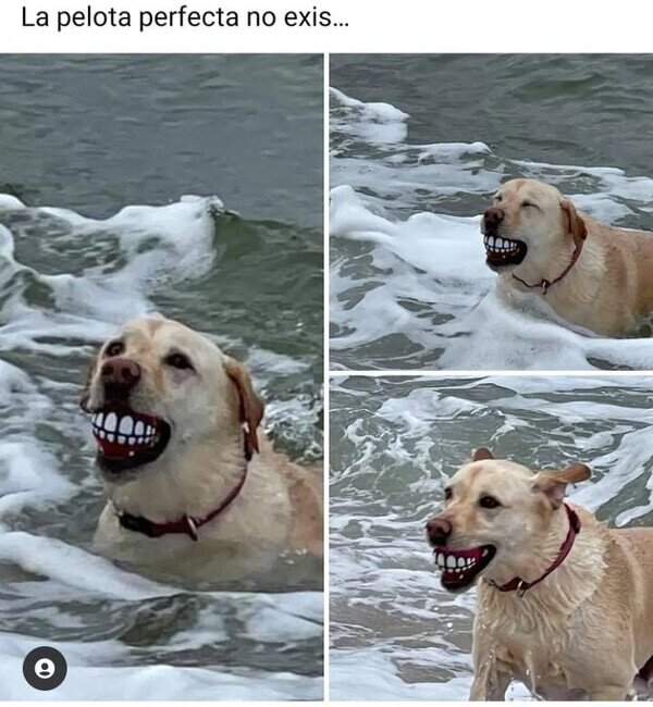 Meme_otros - Vale, sí que existe