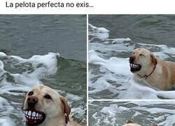 Enlace a Vale, sí que existe