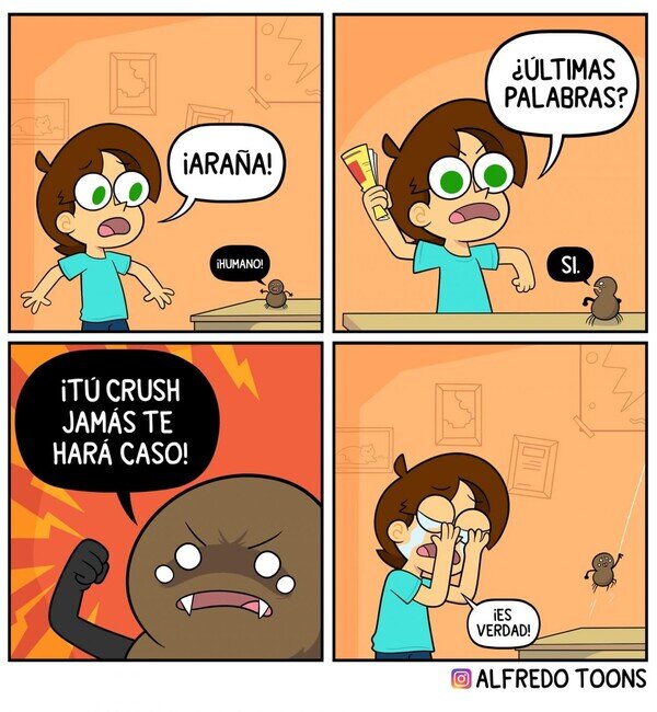Meme_otros - Todo el daño que una araña puede hacerte
