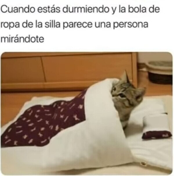 Meme_otros - ¿Quién anda ahí?