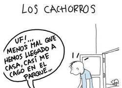 Enlace a No acaban de entenderlo