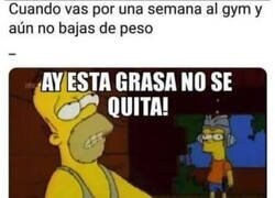 Enlace a Mucha grasa, poca paciencia
