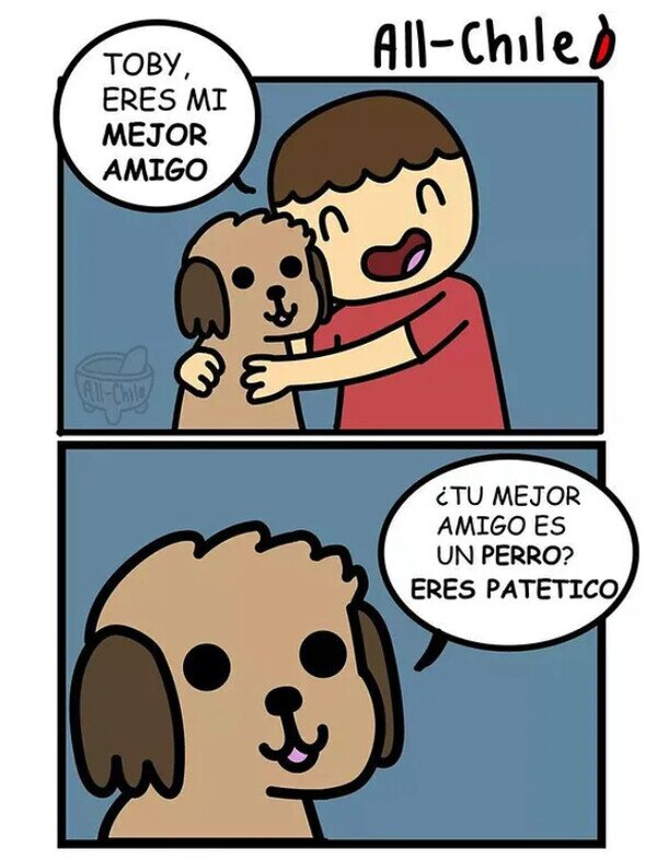 Meme_otros - El mejor amigo del hombre