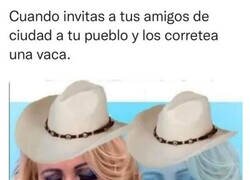 Enlace a Son más de ciudad que una papelera