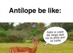 Enlace a Antílopes be like