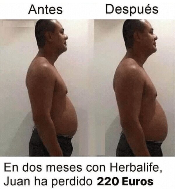 Meme_otros - Perder, ha perdido